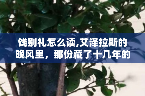 饯别礼怎么读,艾泽拉斯的晚风里,那份藏了十几年的WOW饯别礼 饯别礼怎么读,艾泽拉斯的晚风里,那份藏了十几年的WOW饯别礼