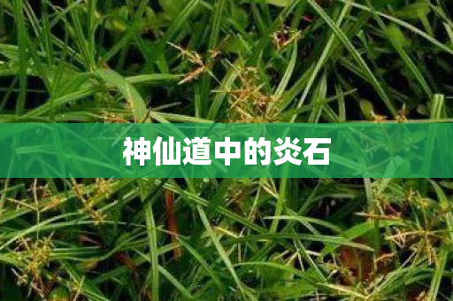 神仙道中的炎石图片