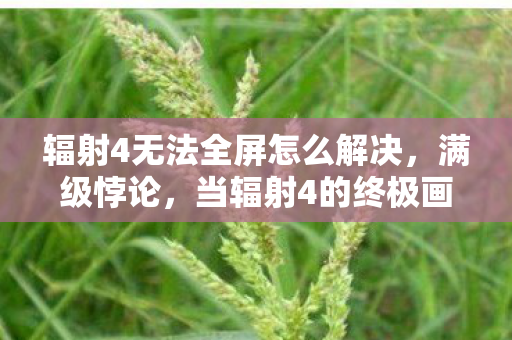 辐射4无法全屏怎么解决,满级悖论,当辐射4的终极画面困在21寸窗口,我的人生早已被现实裁成4:3 辐射4无法全屏怎么解决,满级悖论,当辐射4的终极画面困在21寸窗口,我的人生早已被现实裁成4:3
