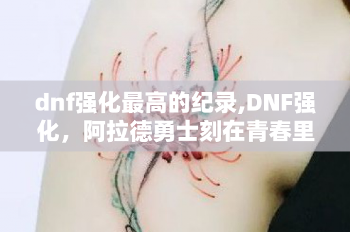 dnf强化最高的纪录,DNF强化,阿拉德勇士刻在青春里的心跳记忆 dnf强化最高的纪录,DNF强化,阿拉德勇士刻在青春里的心跳记忆