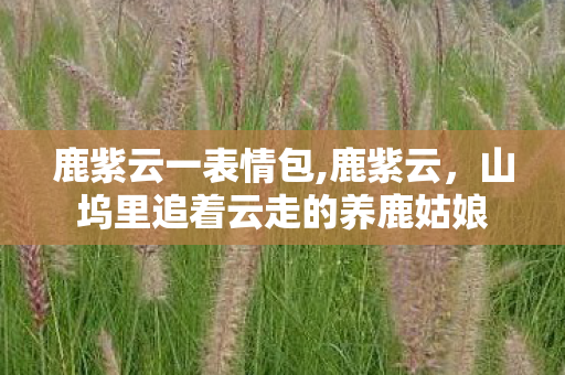 鹿紫云一表情包,鹿紫云,山坞里追着云走的养鹿姑娘 鹿紫云一表情包,鹿紫云,山坞里追着云走的养鹿姑娘