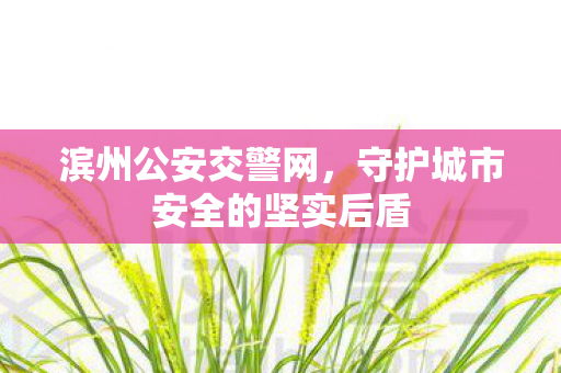 守护城市安全的坚实后盾图片