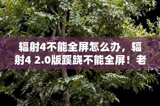 辐射4不能全屏怎么办,辐射4 2.0版蹊跷不能全屏!老玩家直呼离大谱的进化史 辐射4不能全屏怎么办,辐射4 2.0版蹊跷不能全屏!老玩家直呼离大谱的进化史
