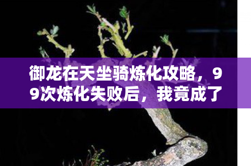 御龙在天坐骑炼化攻略,99次炼化失败后,我竟成了御龙在天最惨坐骑主? 御龙在天坐骑炼化攻略,99次炼化失败后,我竟成了御龙在天最惨坐骑主?