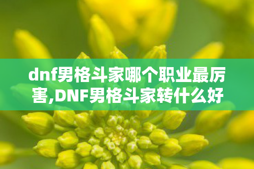 dnf男格斗家哪个职业最厉害,DNF男格斗家转什么好?当前版本各转职优势全盘点 dnf男格斗家哪个职业最厉害,DNF男格斗家转什么好?当前版本各转职优势全盘点