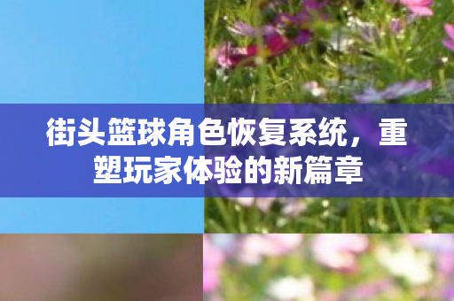 街头篮球角色恢复系统图片