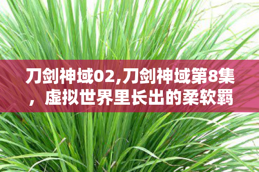 刀剑神域02,刀剑神域第8集,虚拟世界里长出的柔软羁绊 刀剑神域02,刀剑神域第8集,虚拟世界里长出的柔软羁绊