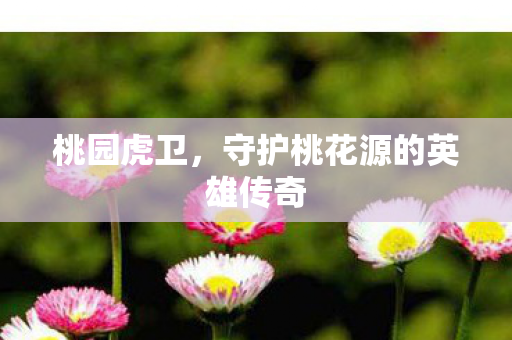 守护桃花源的英雄传奇图片