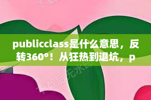 publicclass是什么意思,反转360°!从狂热到退坑,publicclass竟让我2027年再陷狂潮? publicclass是什么意思,反转360°!从狂热到退坑,publicclass竟让我2027年再陷狂潮?