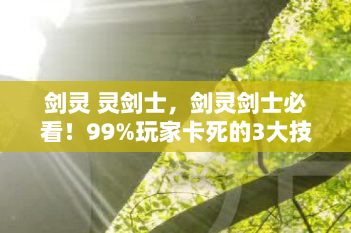 剑灵 灵剑士，剑灵剑士必看！99%玩家卡死的3大技巧，第2个竟藏着血泪真相？