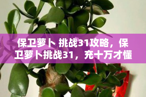 保卫萝卜 挑战31攻略，保卫萝卜挑战31，充十万才懂！策划暗改数据，韭菜竟是我自己？