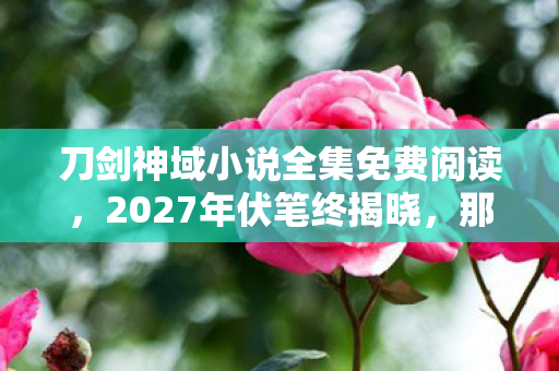 刀剑神域小说全集免费阅读，2027年伏笔终揭晓，那些凌晨三点的等你，让我鼻子一酸
