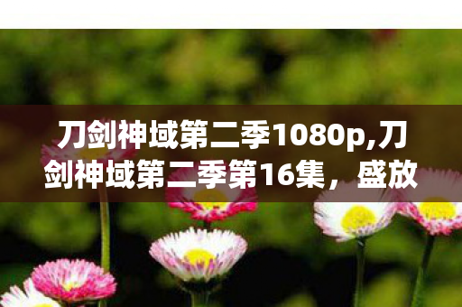 刀剑神域第二季1080p,刀剑神域第二季第16集，盛放烟火里的救赎微光