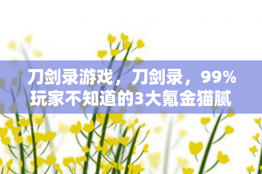 刀剑录游戏，刀剑录，99%玩家不知道的3大氪金猫腻，越玩越上头却越穷！