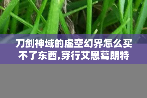 刀剑神域的虚空幻界怎么买不了东西,穿行艾恩葛朗特的隐秘角落,刀剑神域,虚空的碎片的专属冒险记忆 刀剑神域的虚空幻界怎么买不了东西,穿行艾恩葛朗特的隐秘角落,刀剑神域,虚空的碎片的专属冒险记忆