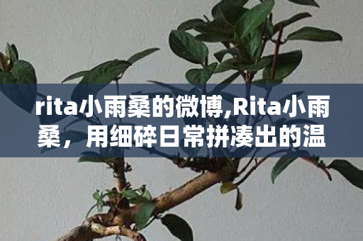 rita小雨桑的微博,Rita小雨桑，用细碎日常拼凑出的温柔生活图鉴