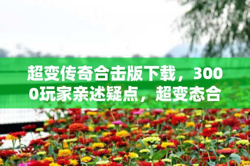 超变传奇合击版下载，3000玩家亲述疑点，超变态合击传奇私服竟让网吧集体绷不住？