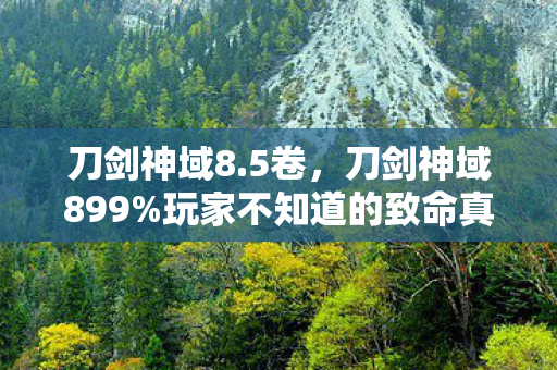 刀剑神域8.5卷，刀剑神域899%玩家不知道的致命真相！你的神经正在被吞噬？