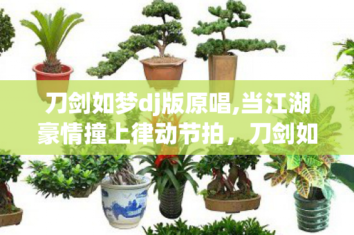 刀剑如梦dj版原唱,当江湖豪情撞上律动节拍,刀剑如梦DJ里的快意今昔 刀剑如梦dj版原唱,当江湖豪情撞上律动节拍,刀剑如梦DJ里的快意今昔