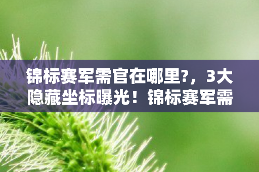 锦标赛军需官在哪里?,3大隐藏坐标曝光!锦标赛军需官竟藏着开发组的惊天谎言? 锦标赛军需官在哪里?,3大隐藏坐标曝光!锦标赛军需官竟藏着开发组的惊天谎言?