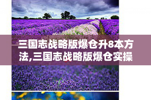 三国志战略版爆仓升8本方法,三国志战略版爆仓实操指南,把溢出资源转化为发育加速度 三国志战略版爆仓升8本方法,三国志战略版爆仓实操指南,把溢出资源转化为发育加速度