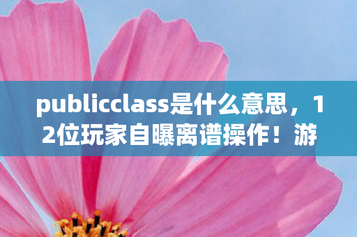 publicclass是什么意思，12位玩家自曝离谱操作！游戏BUG竟成财富密码？记者当场绷不住