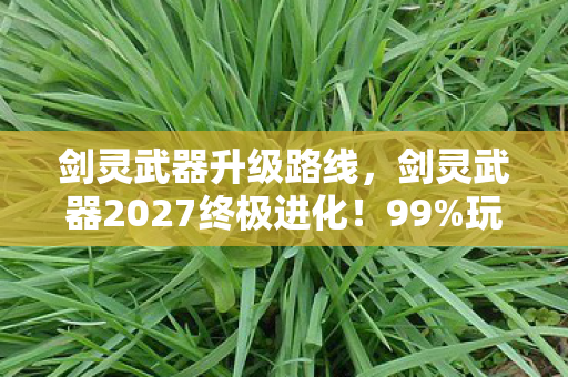 剑灵武器升级路线,剑灵武器2027终极进化!99%玩家错过的3大隐藏机制实测心得 剑灵武器升级路线,剑灵武器2027终极进化!99%玩家错过的3大隐藏机制实测心得