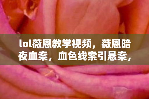 lol薇恩教学视频，薇恩暗夜血案，血色线索引悬案，毛骨悚然终局现