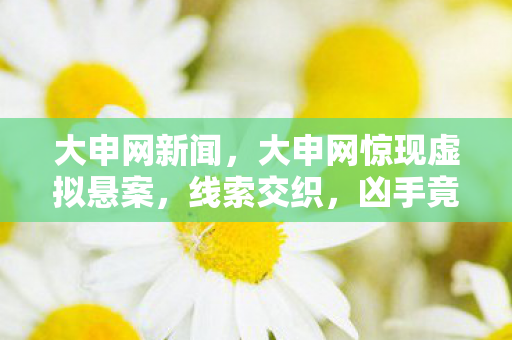 大申网新闻，大申网惊现虚拟悬案，线索交织，凶手竟将自己推向毛骨悚然深渊