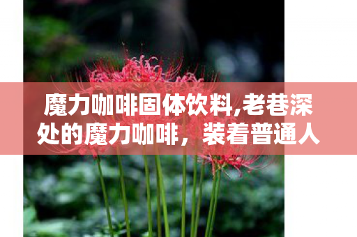 魔力咖啡固体饮料,老巷深处的魔力咖啡，装着普通人的日常小星光