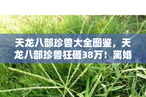 天龙八部珍兽大全图鉴，天龙八部珍兽狂砸38万！离婚协议背后，我亲手拆了家！