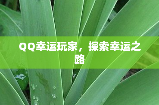 QQ幸运玩家图片