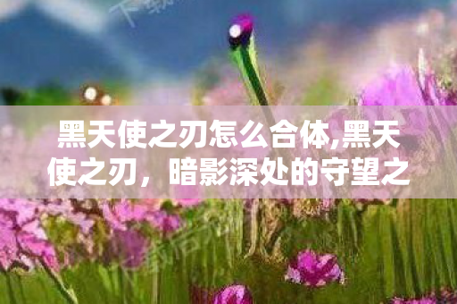黑天使之刃怎么合体,黑天使之刃，暗影深处的守望之心
