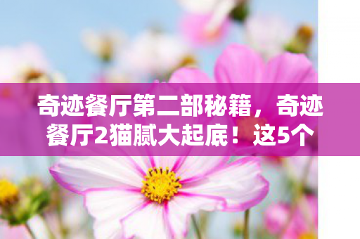 奇迹餐厅第二部秘籍，奇迹餐厅2猫腻大起底！这5个氪金陷阱让你上头到破产
