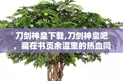 刀剑神皇下载,刀剑神皇吧，藏在书页余温里的热血同好小江湖