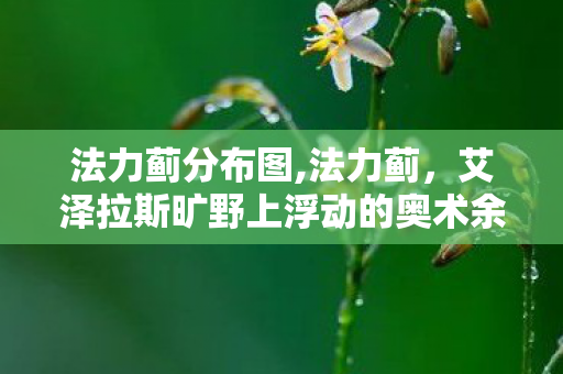 法力蓟分布图,法力蓟，艾泽拉斯旷野上浮动的奥术余温