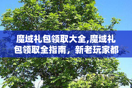 魔域礼包领取大全,魔域礼包领取全指南，新老玩家都适用的福利薅取攻略