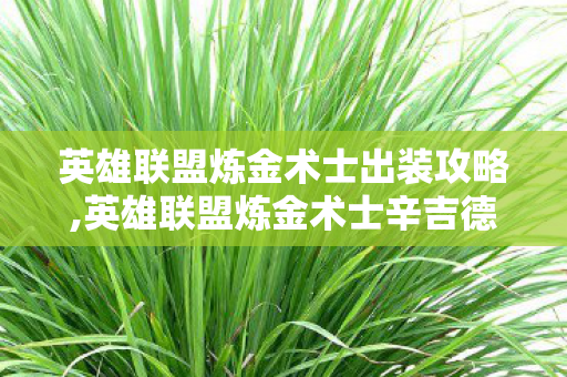英雄联盟炼金术士出装攻略,英雄联盟炼金术士辛吉德出装思路全解析，跑酷流也能掌控全场节奏