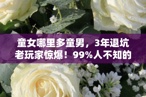 童女哪里多童男，3年退坑老玩家惊爆！99%人不知的童女聚集地竟藏在这！