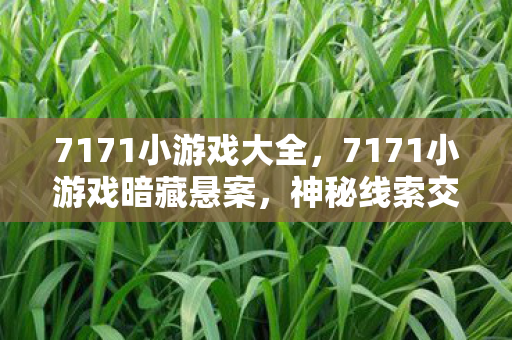 7171小游戏大全，7171小游戏暗藏悬案，神秘线索交织，毛骨悚然真相待揭