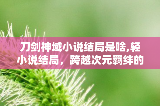 刀剑神域小说结局是啥,轻小说结局,跨越次元羁绊的温柔收尾 刀剑神域小说结局是啥,轻小说结局,跨越次元羁绊的温柔收尾