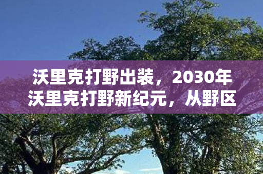 沃里克打野出装,2030年沃里克打野新纪元,从野区霸主到人生取舍的震撼启示 沃里克打野出装,2030年沃里克打野新纪元,从野区霸主到人生取舍的震撼启示