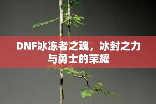 冰封之力与勇士的荣耀图片