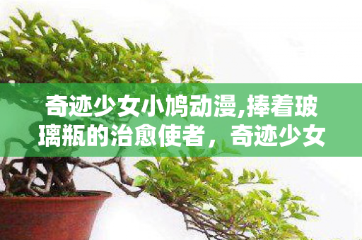 奇迹少女小鸠动漫,捧着玻璃瓶的治愈使者，奇迹少女小鸠的温柔旅程