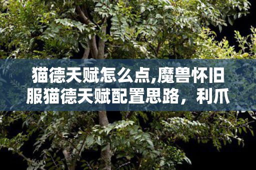 猫德天赋怎么点,魔兽怀旧服猫德天赋配置思路,利爪生风的野性输出指南 猫德天赋怎么点,魔兽怀旧服猫德天赋配置思路,利爪生风的野性输出指南