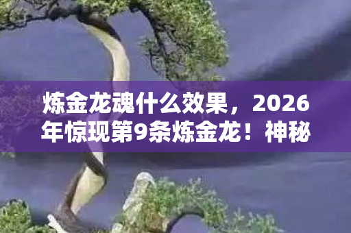 炼金龙魂什么效果,2026年惊现第9条炼金龙!神秘数字背后藏何惊天秘密? 炼金龙魂什么效果,2026年惊现第9条炼金龙!神秘数字背后藏何惊天秘密?