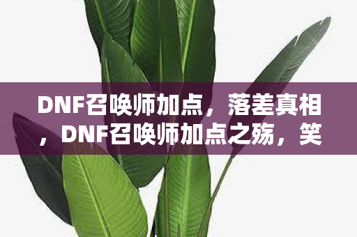 DNF召唤师加点,落差真相,DNF召唤师加点之殇,笑着笑着,我哭了 DNF召唤师加点,落差真相,DNF召唤师加点之殇,笑着笑着,我哭了