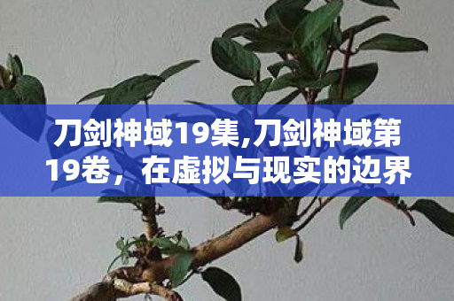 刀剑神域19集,刀剑神域第19卷,在虚拟与现实的边界,续写属于守护者的温柔史诗 刀剑神域19集,刀剑神域第19卷,在虚拟与现实的边界,续写属于守护者的温柔史诗
