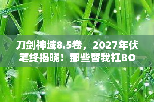 刀剑神域8.5卷，2027年伏笔终揭晓！那些替我扛BOSS的人，让我鼻子一酸
