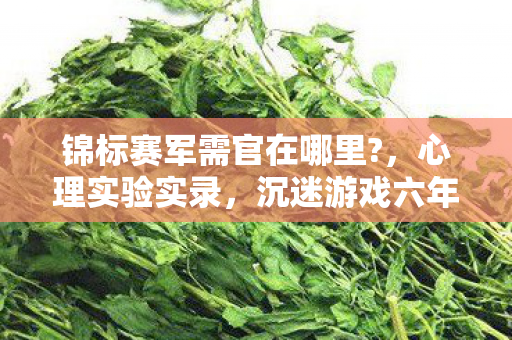 锦标赛军需官在哪里?,心理实验实录,沉迷游戏六年,细思极恐的自我麻醉剂量 锦标赛军需官在哪里?,心理实验实录,沉迷游戏六年,细思极恐的自我麻醉剂量
